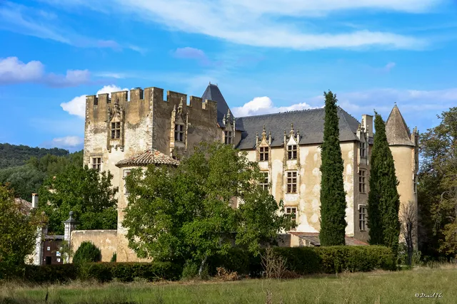 Château d'Allemagne en Provence