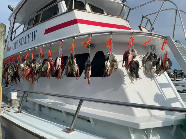 Capt. Stacy Fishing Center