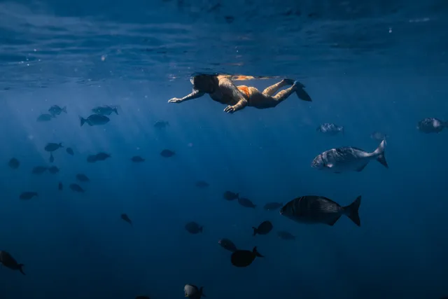 Hawaii Apex Charters