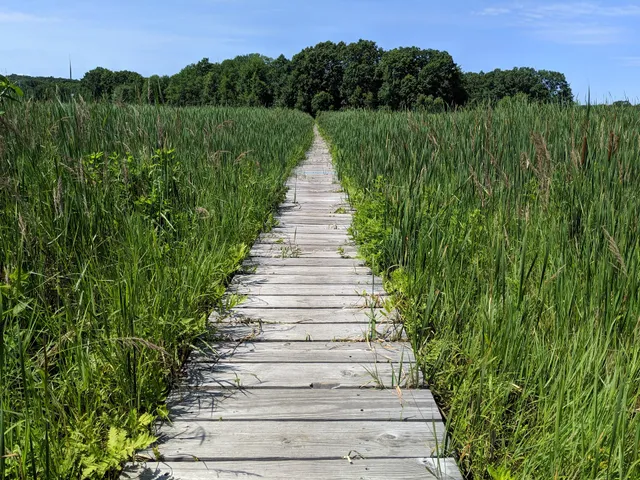Cutler Park Reservation