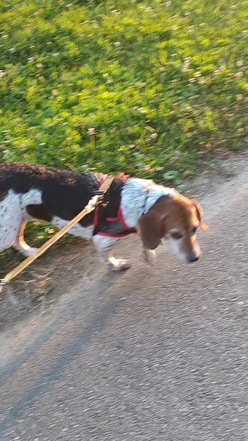 Stuart Farmer's Market