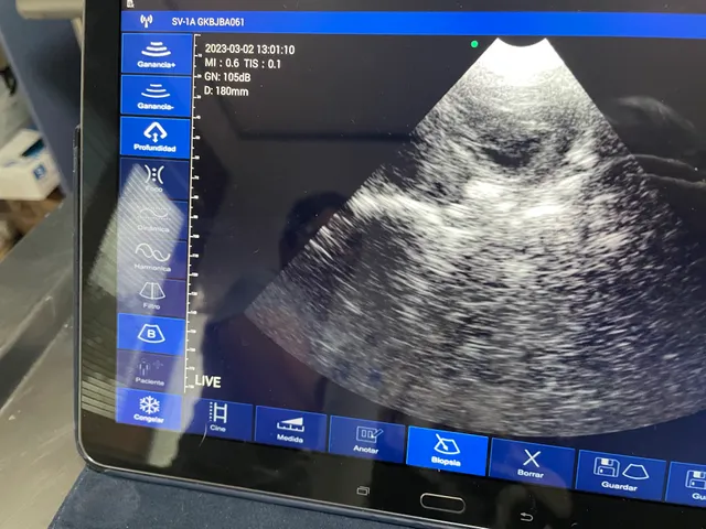 Clínica Veterinaria "Dra. Cuevas"