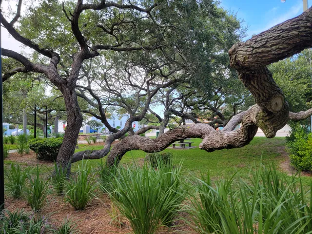 Veterans Memorial Park