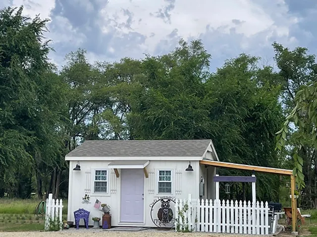 Owl’s Lavender Patch