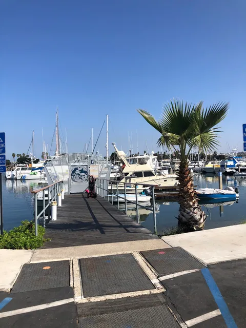 Marina Cortez Dock C
