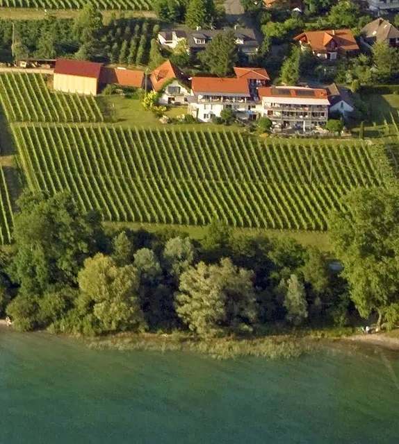 Winery and aparthotel Röhrenbach