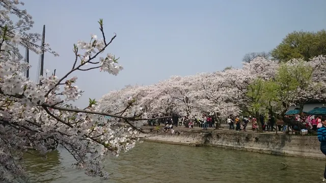 Taihu Yuantouzhu Scenic Area （Southwest Gate）