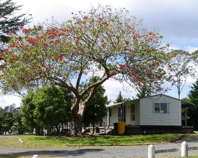 Twin Pines Tourist Park