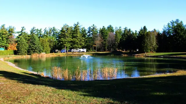 Whistle Bare Campground