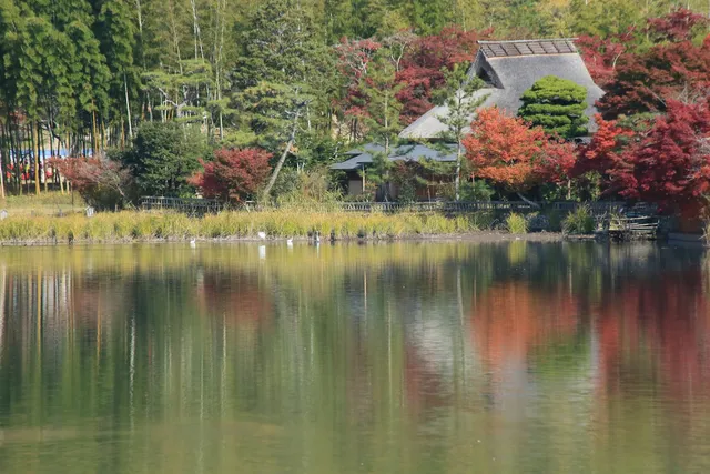 Kyoto Sacred Grounds | Sekai Kyūsei Kyō