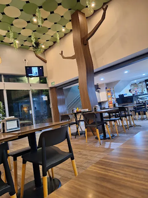 Cafeteria Covadonga Veracruz
