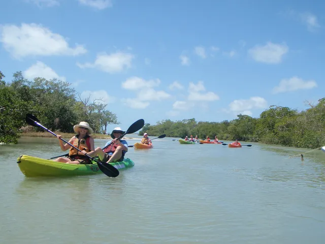 Kayak Excursions - Bunche Beach