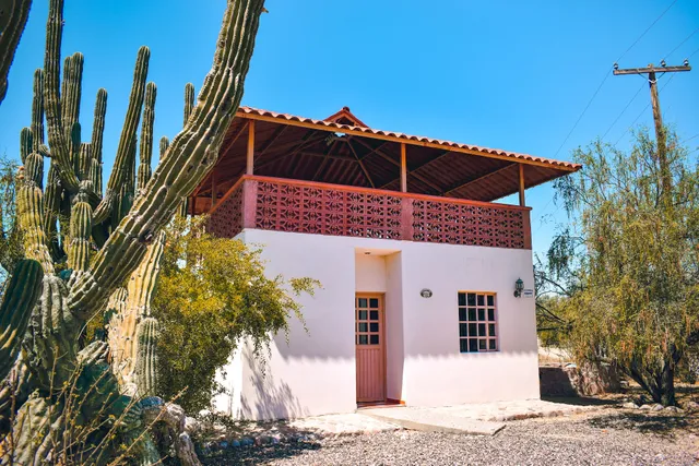 Las Flores De Comitan