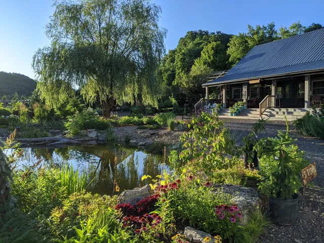 Second Nature at Reads Creek