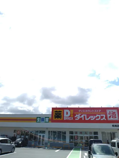 ダイレックス 相浦店