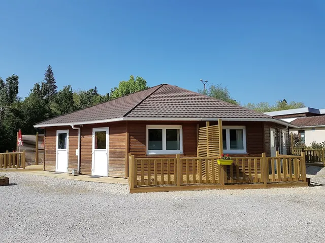 Camping Blue Damselfly