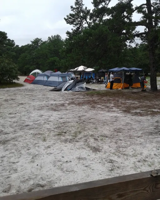 Bodine Field Campground