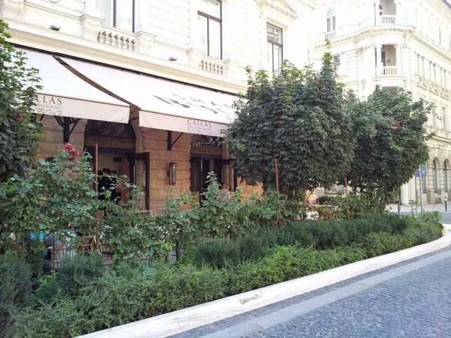 Zonaflat - Lazar Opera