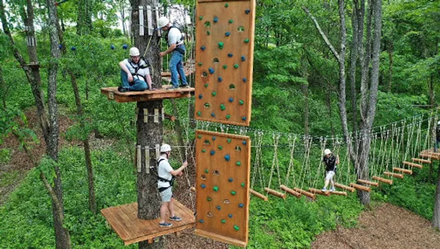 Tree Top Adventures, Grown by Barton Orchards