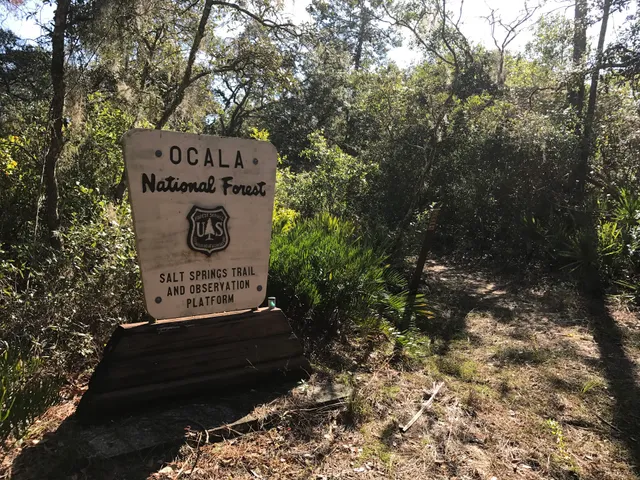 Salt Springs Observation Trail