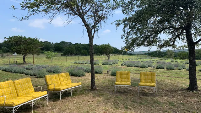 Hill Country Lavender Farm