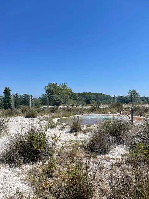 Thermal spring of Bulicame