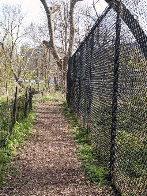 Jarvis Bird Sanctuary