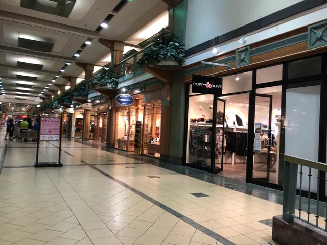 Poppy & Olive Bedford