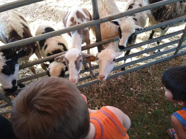 Carroll County Fairgrounds