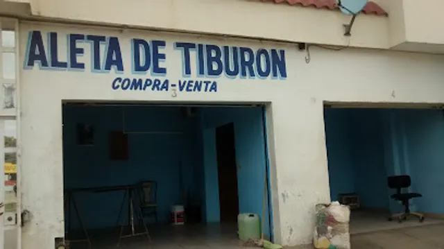 ALETA DE TIBURÓN