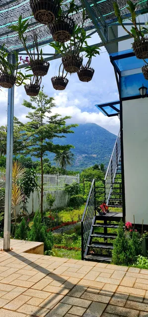 Homestay Nui Ba Den LiLy