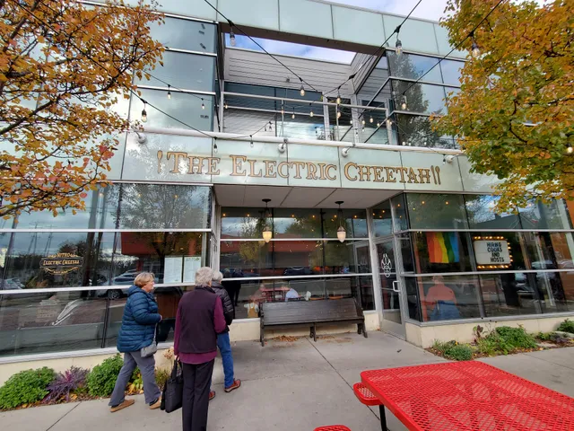 The Electric Cheetah