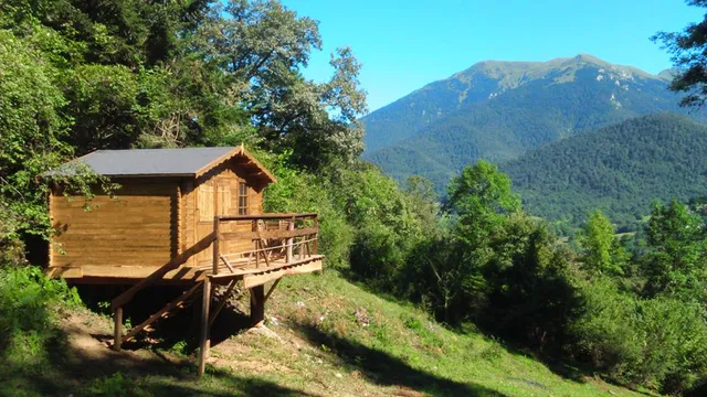 Les Insolites d'Eljie