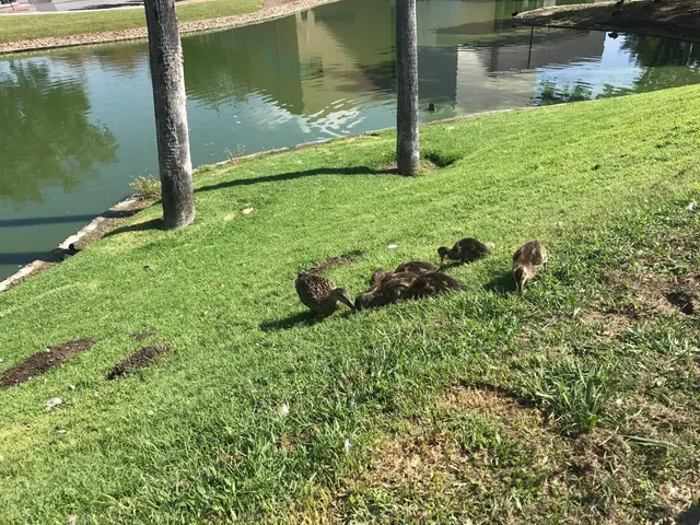 VA Loma Linda Healthcare System