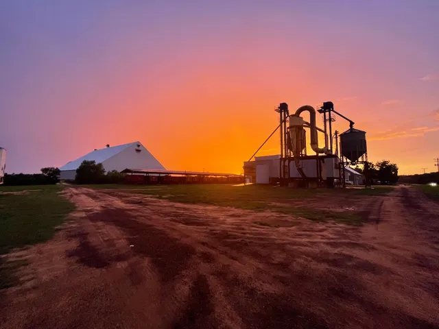 Demott Peanut & Fertilizer Co