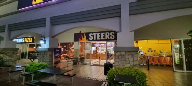Steers