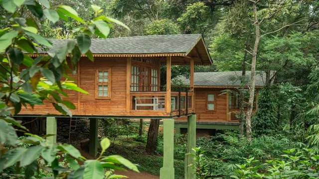 MISTY MOUNTAIN PLANTATION RESORT