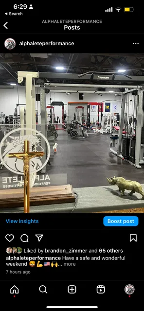 Alphalete Performance and Fitness