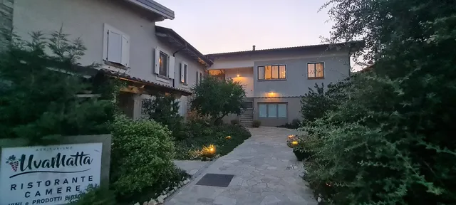 UvaMatta