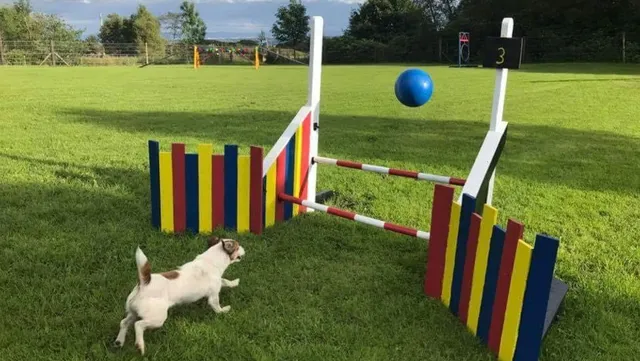 Skipadoos - The secure dog field - Bolton