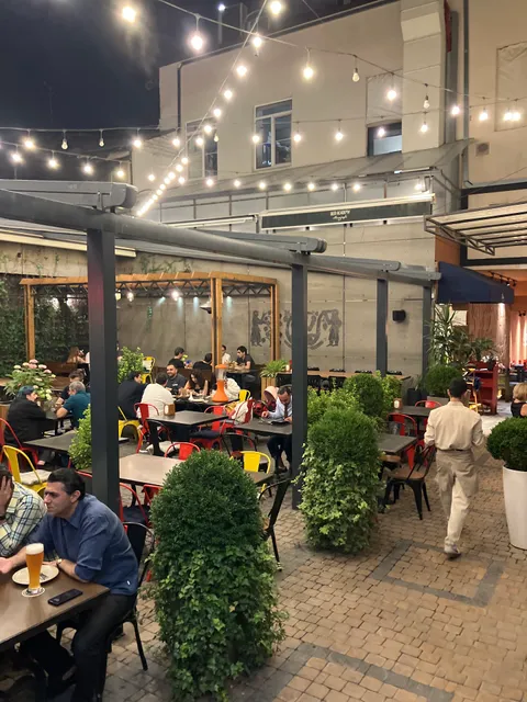 Beer Academy Ethnograph