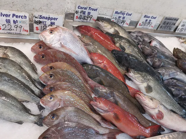 Campsie Hills Seafood