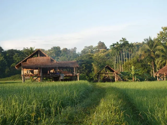 Daidib Daidee Pua Nan Thailand