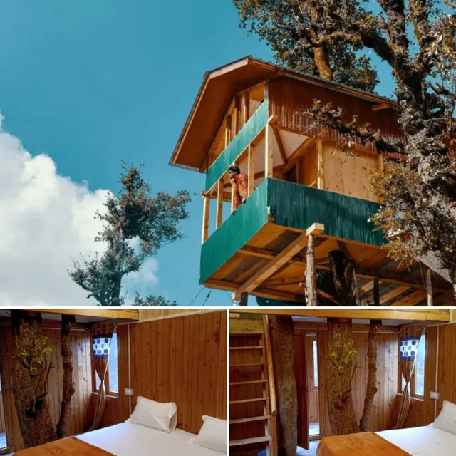 No Society Cafe And Homestay