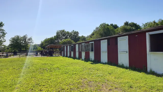 GallopNYC: Sunrise Stables