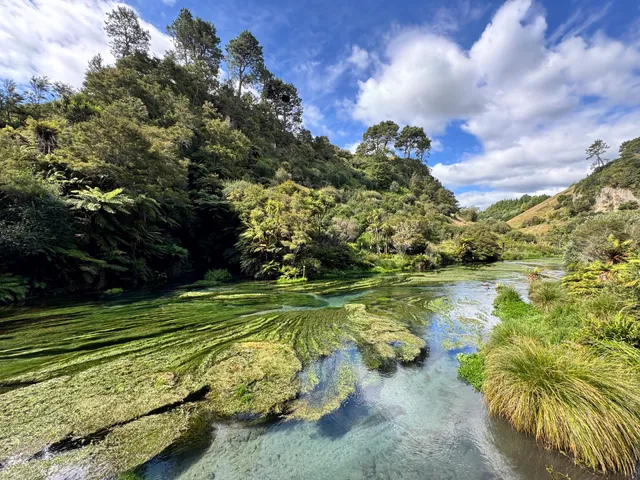 Public Toilet at Blue Spring