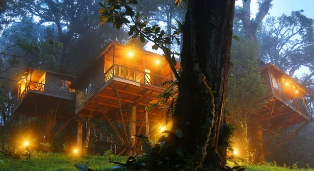 Nature Zone Resort Munnar - Tree House, Luxury Tents, Munnar