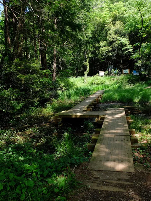 スポット2 虫たちの森