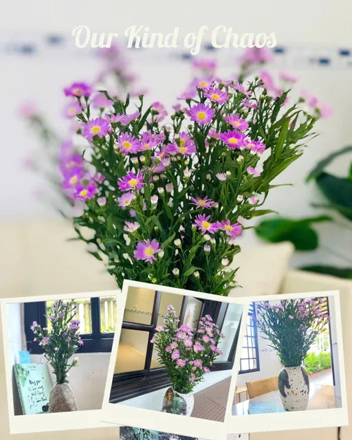 LITTLE NEST HOME PHAN THIET (TỔ ẤM NHỎ)