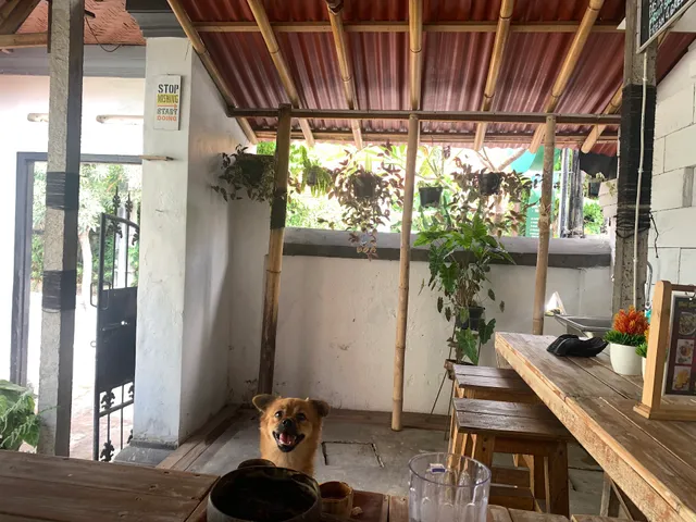 Bali sweet smoothies